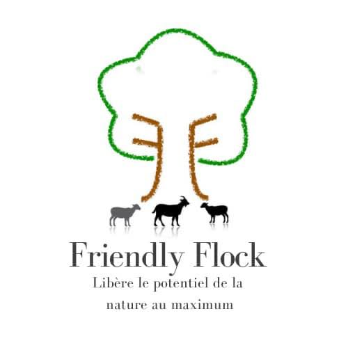 Friendly Flock