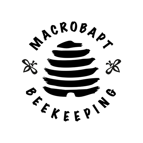 Macrobapt