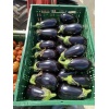 aubergines caisse