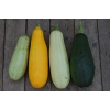 courgettes mlange