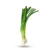 oignon-fins