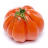 tomate-ancienne-coeur-de-boeuf