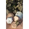 vendor98/le shampoing pellicules chaud