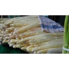 asperges_blanches