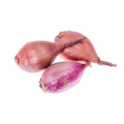 chalottes