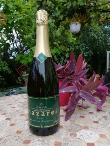 cava navares