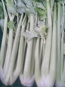 cleri blanc