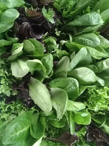 salade mix