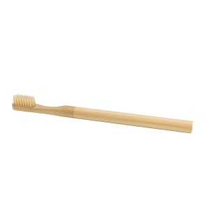 brosse__dent_adulte
