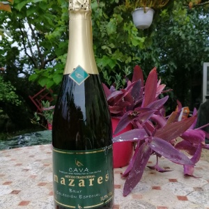 cava navares