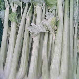 cleri blanc