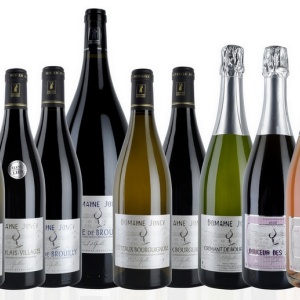 domaine  joncy