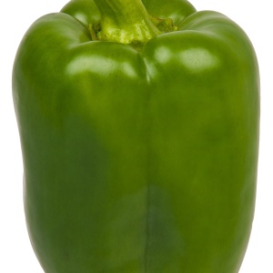 poivron vert